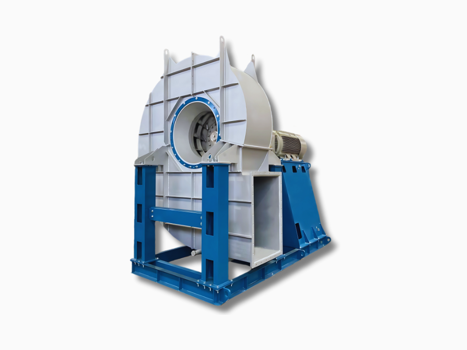 M - Immagine principale