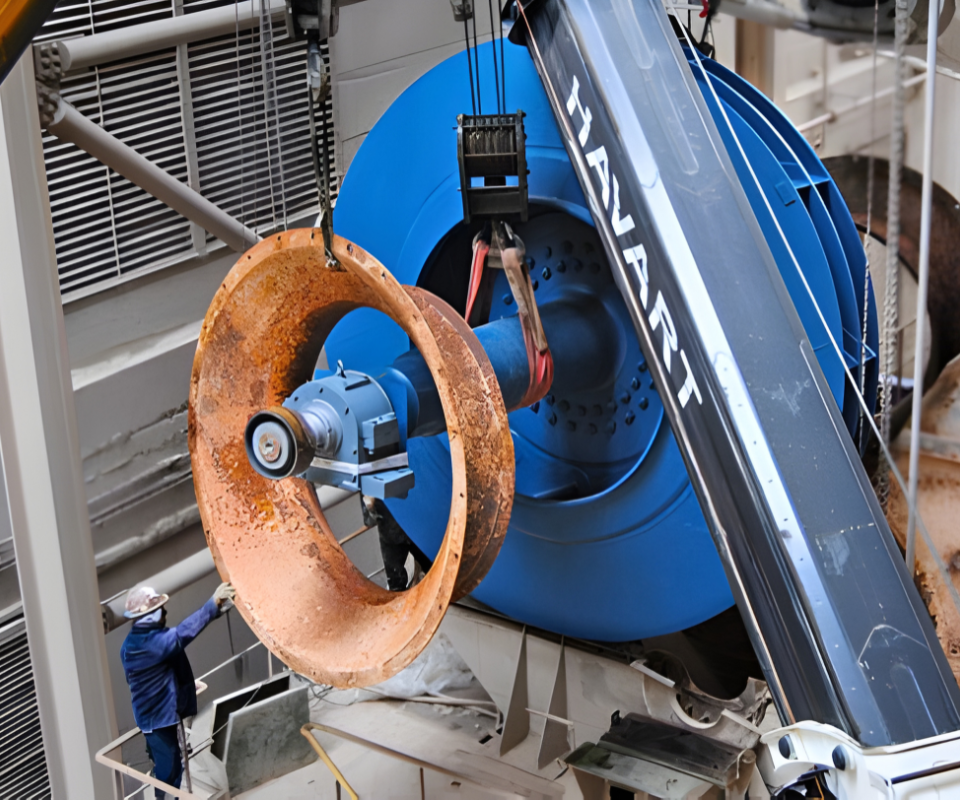 Boccaglio Estrazione